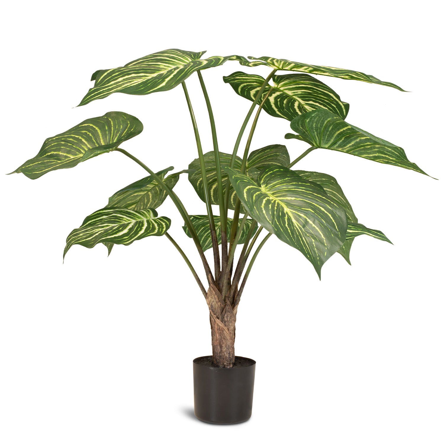 Calathea Kunstpflanze