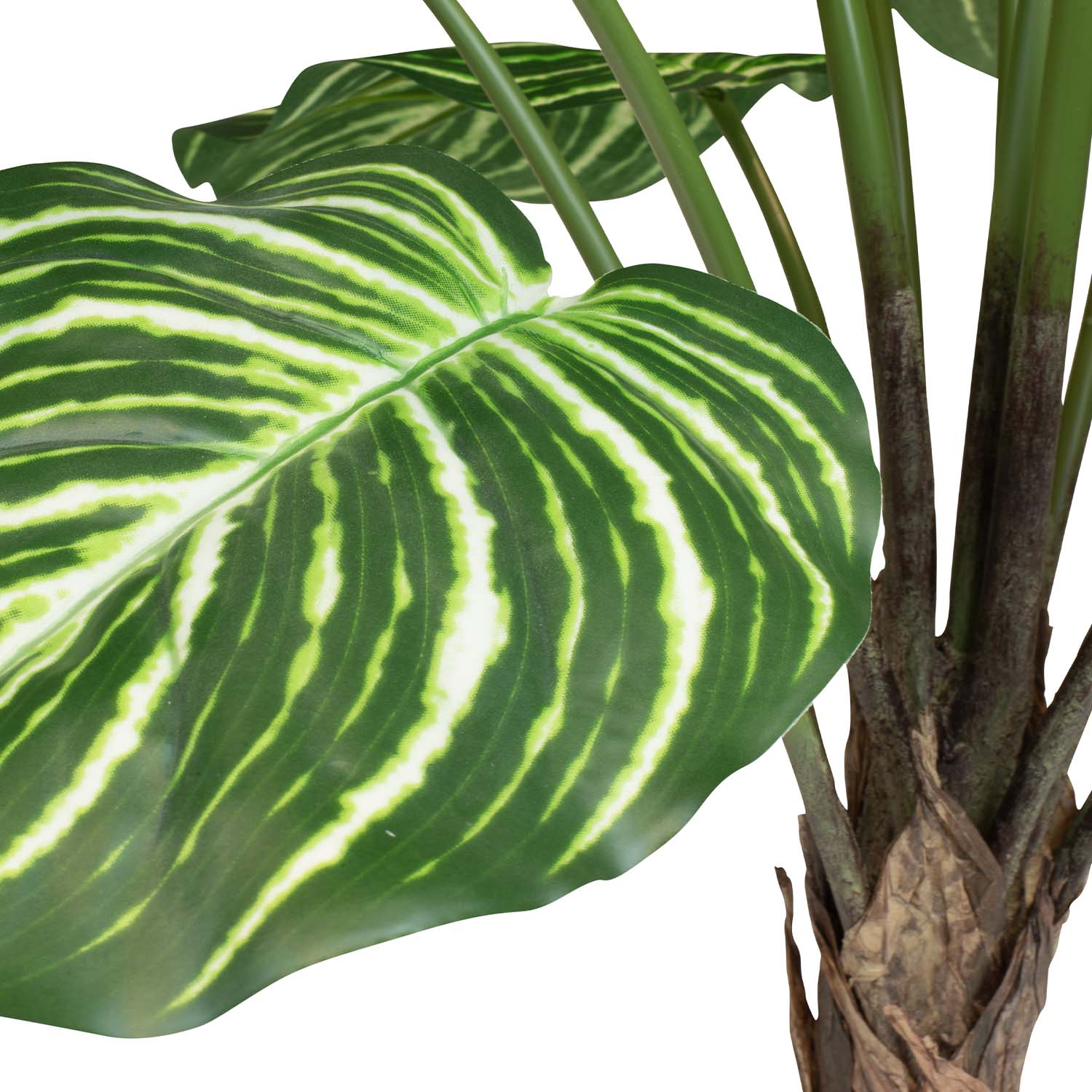 Calathea Kunstpflanze