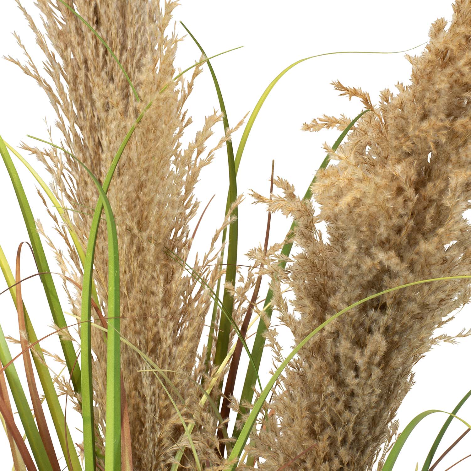 Cortaderia - Pampasgras Kunstpflanze