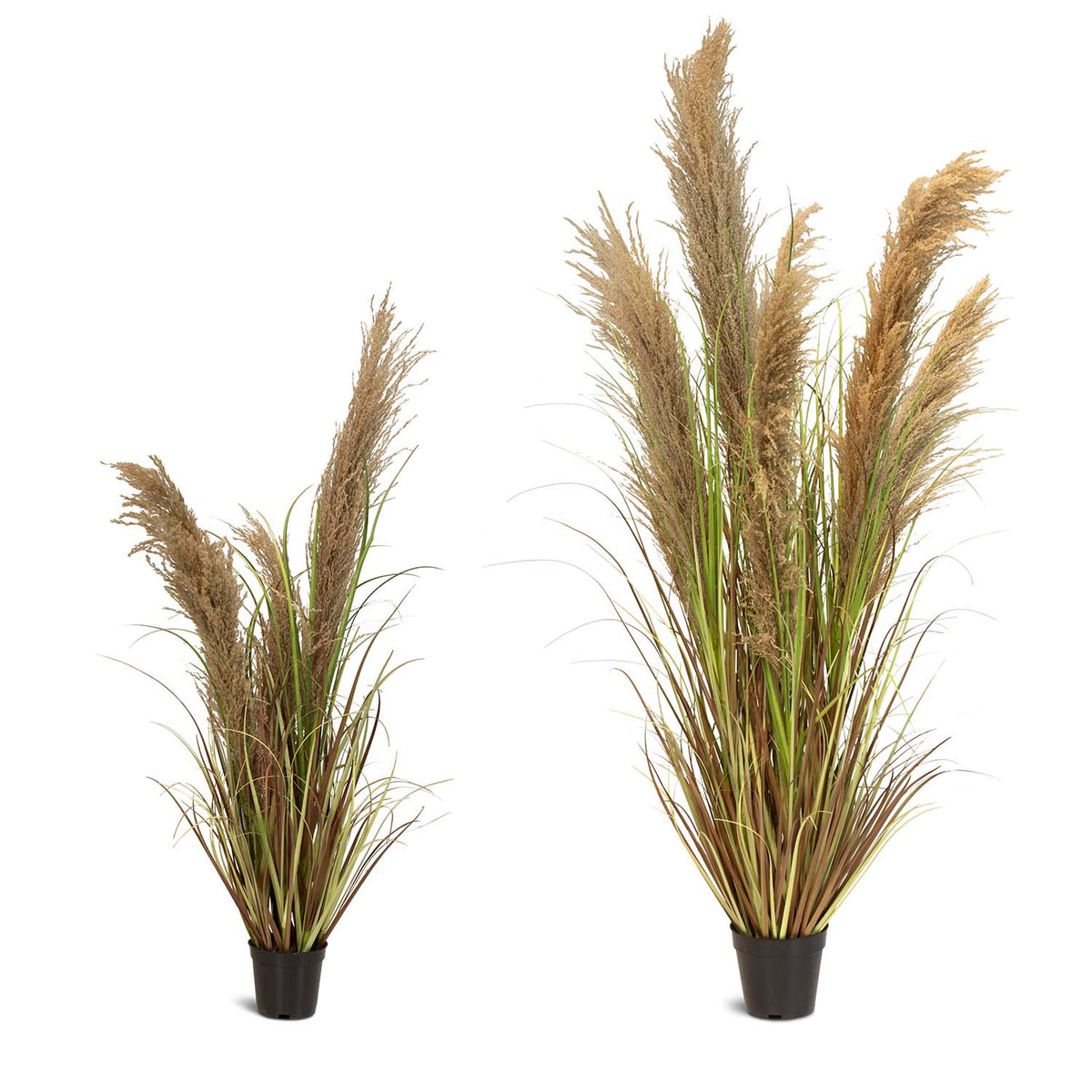 Cortaderia - Pampasgras Kunstpflanze