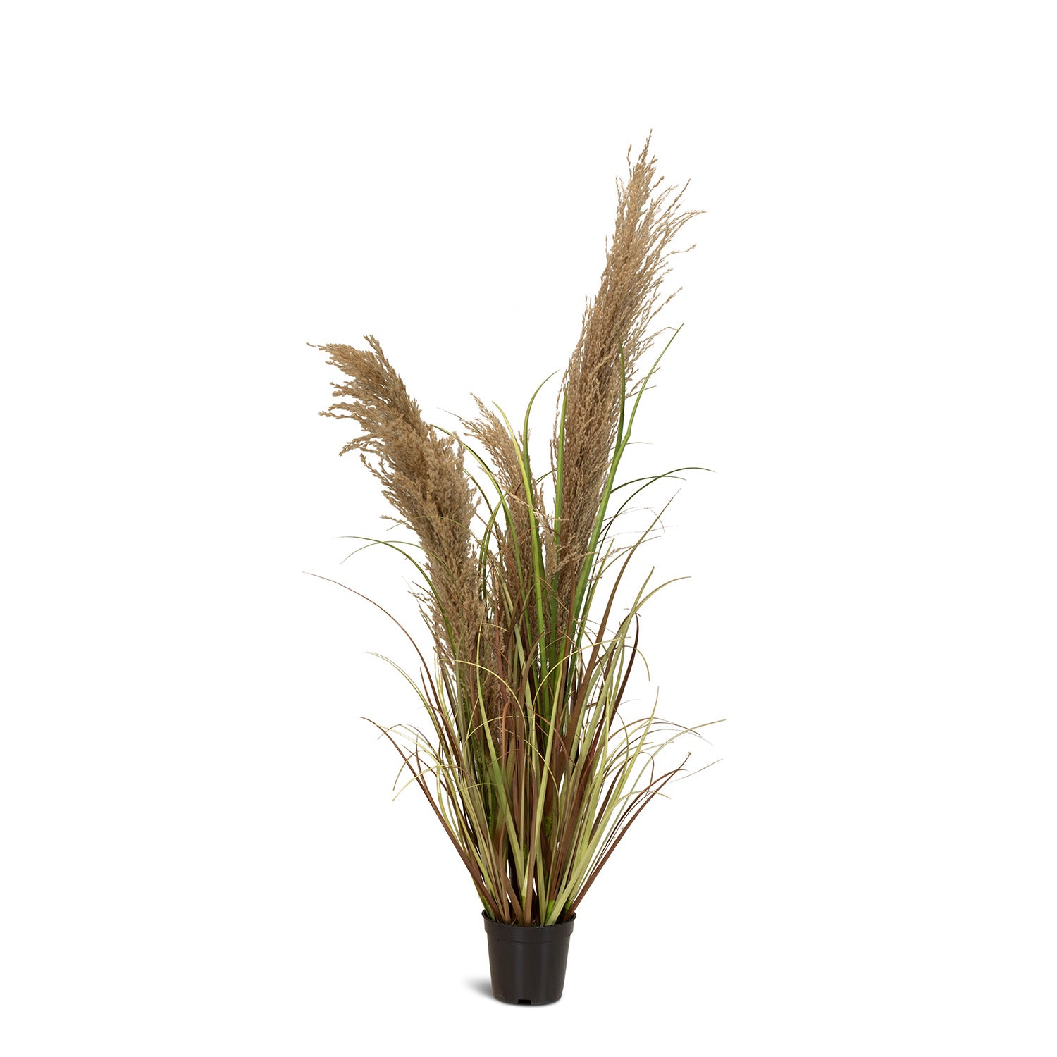 Cortaderia - Pampasgras Kunstpflanze