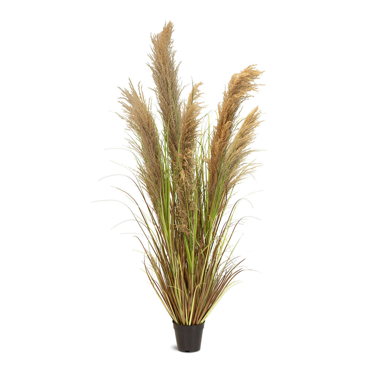 Cortaderia - Pampasgras Kunstpflanze