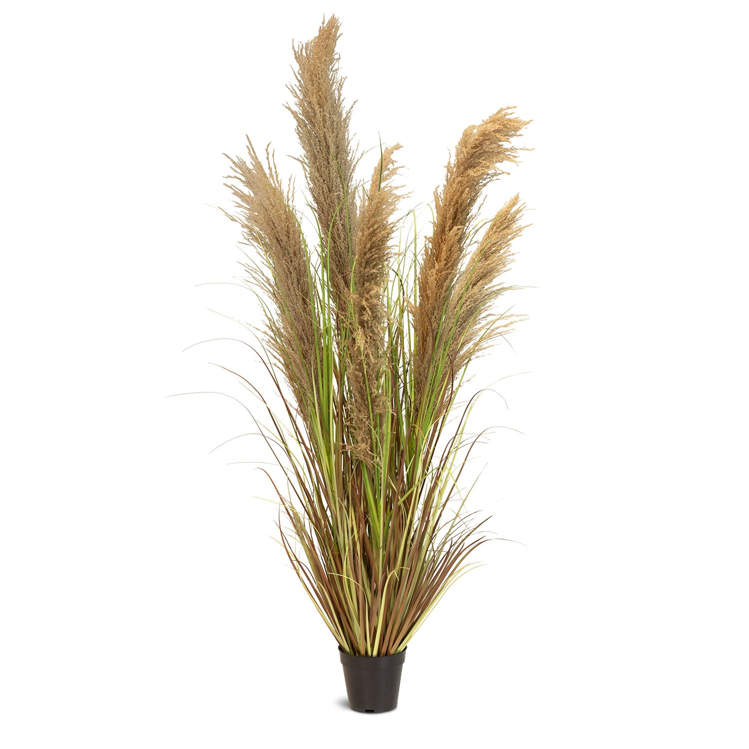 Cortaderia - Pampasgras Kunstpflanze