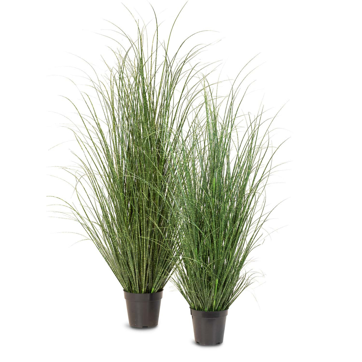 Zebragras Miscanthus Sinensis Kunstpflanze