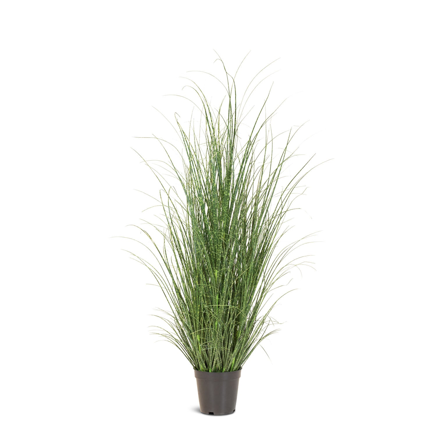 Zebragras Miscanthus Sinensis Kunstpflanze