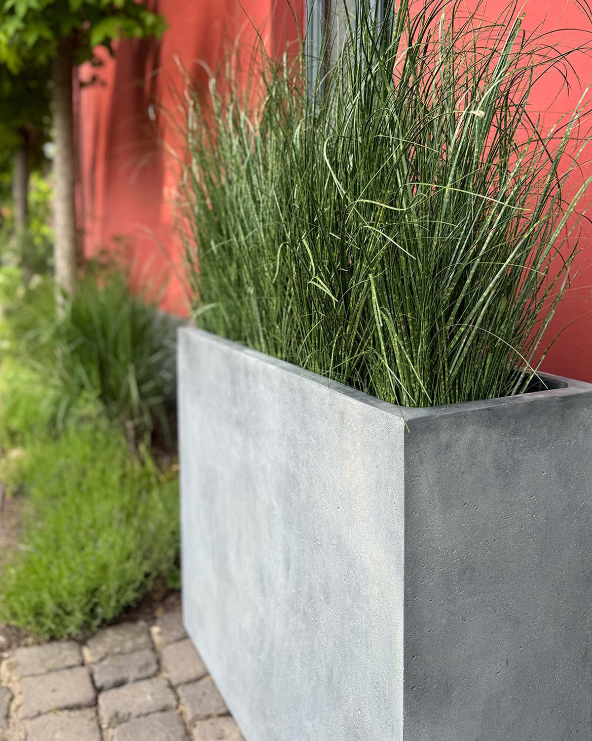 Zebragras Miscanthus Sinensis Kunstpflanze