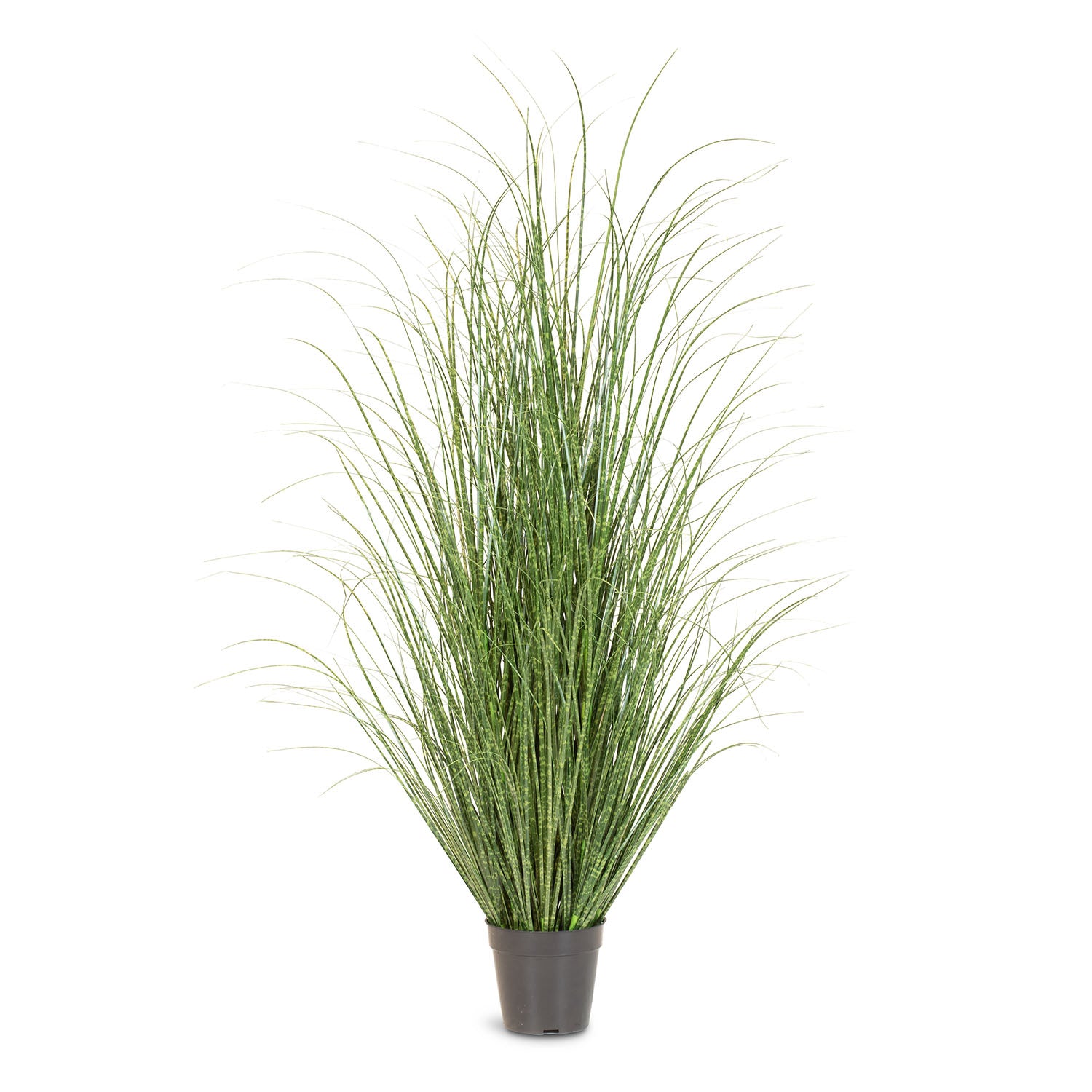 Zebragras Miscanthus Sinensis Kunstpflanze