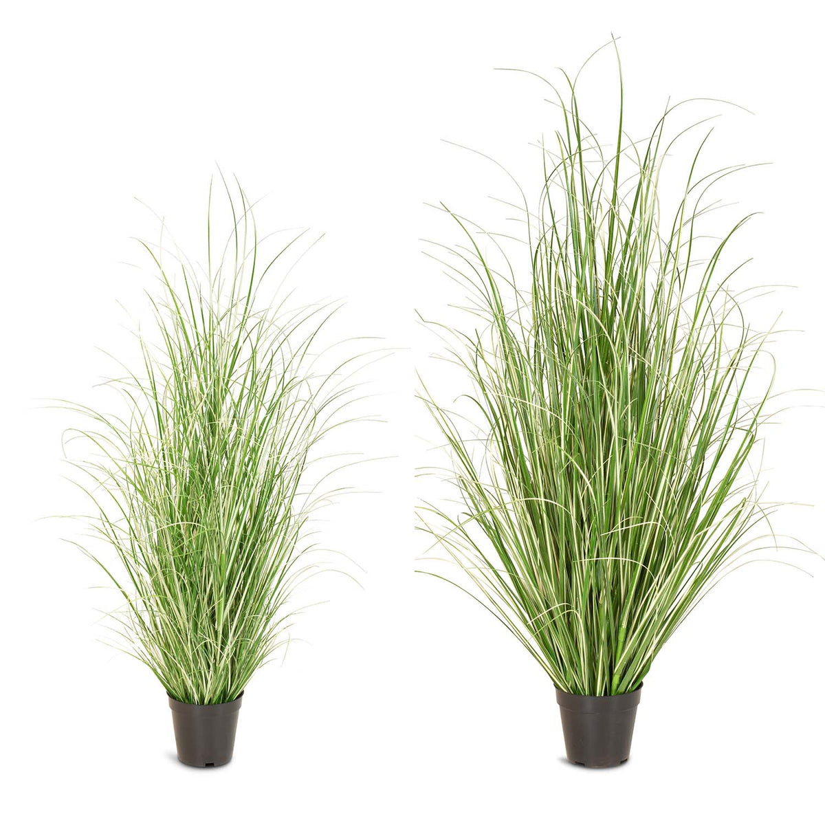 Chinaschilf Variegatus Kunstpflanze