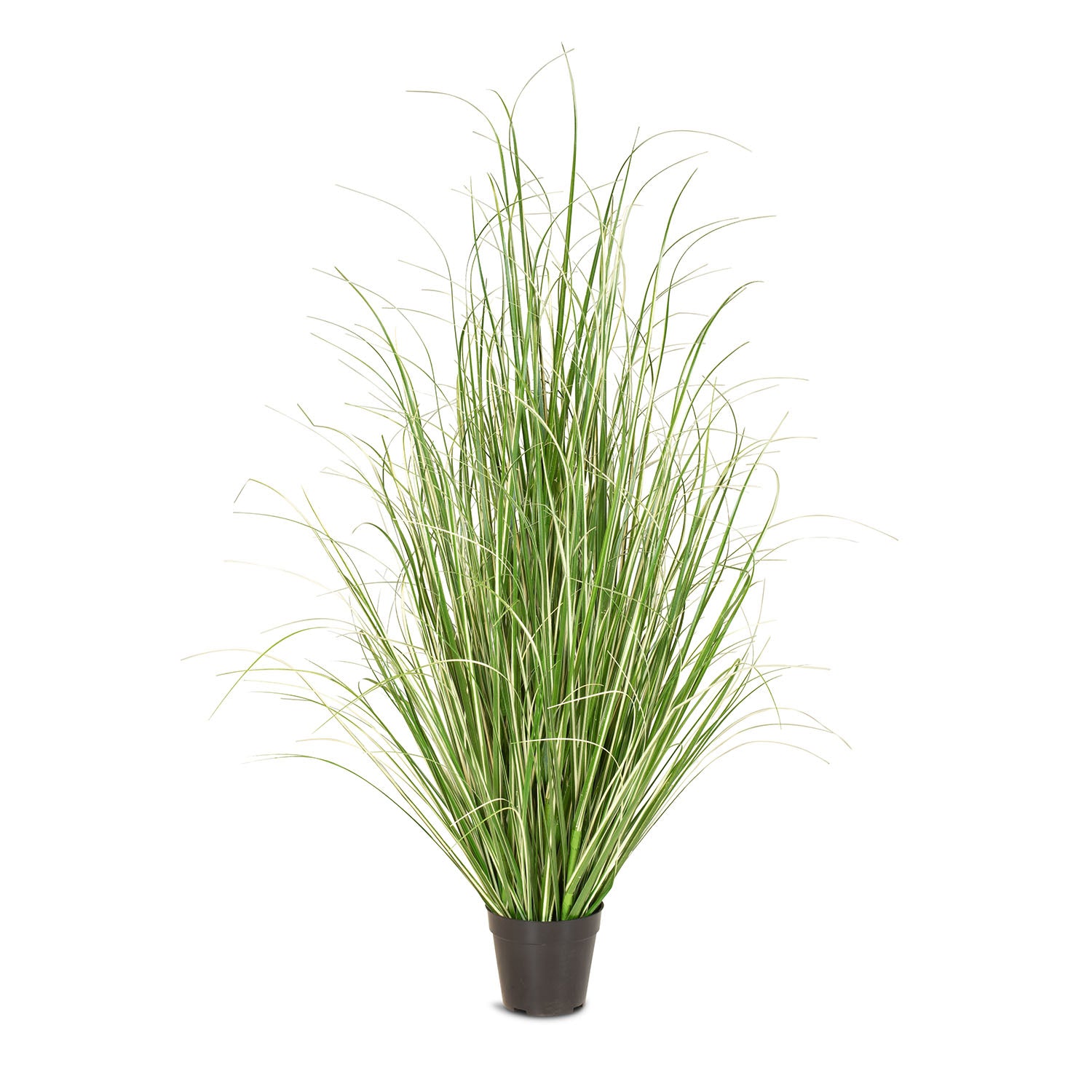 Chinaschilf Variegatus Kunstpflanze