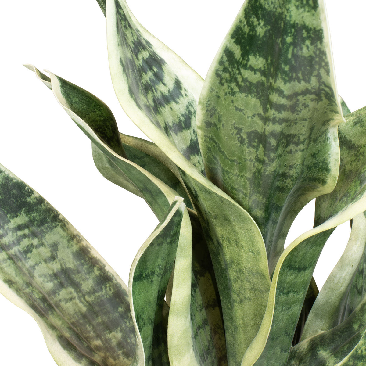 Sansevieria Bogenhanf Kunstpflanze