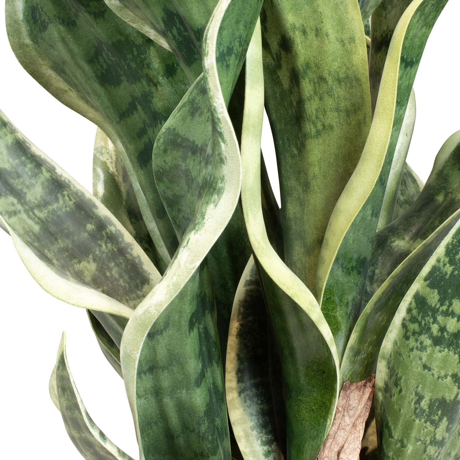 Sansevieria Bogenhanf Kunstpflanze