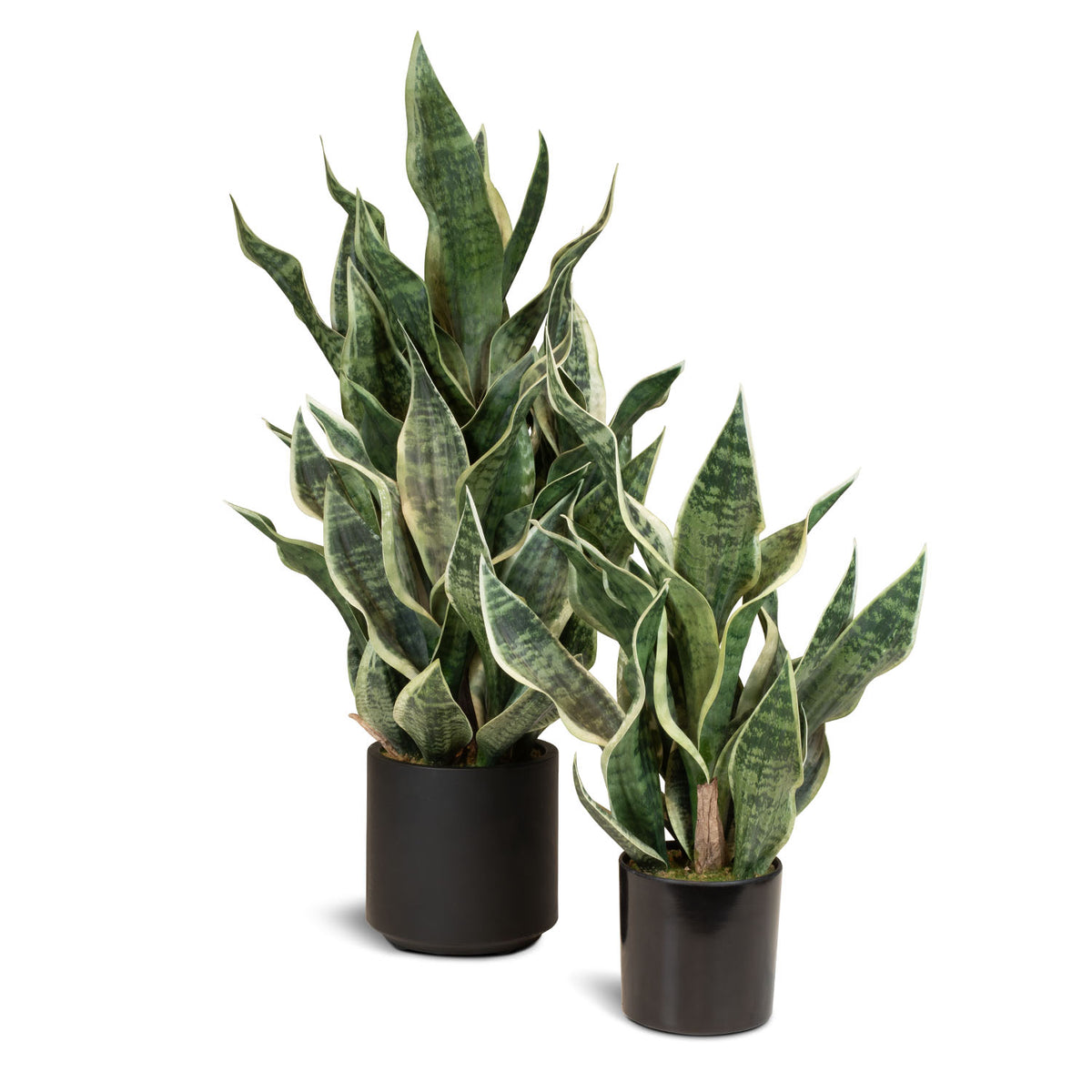 Sansevieria Bogenhanf Kunstpflanze aus recyceltem Material in der Seitenansicht detailgetreu nachempfunden