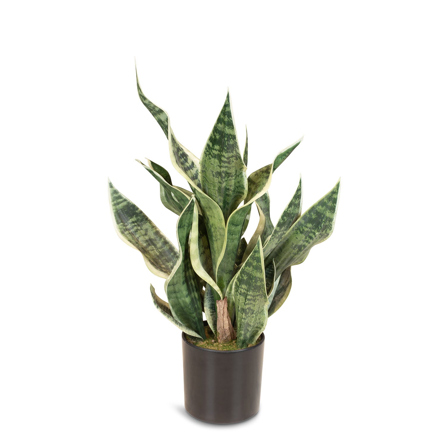 Sansevieria Bogenhanf Kunstpflanze