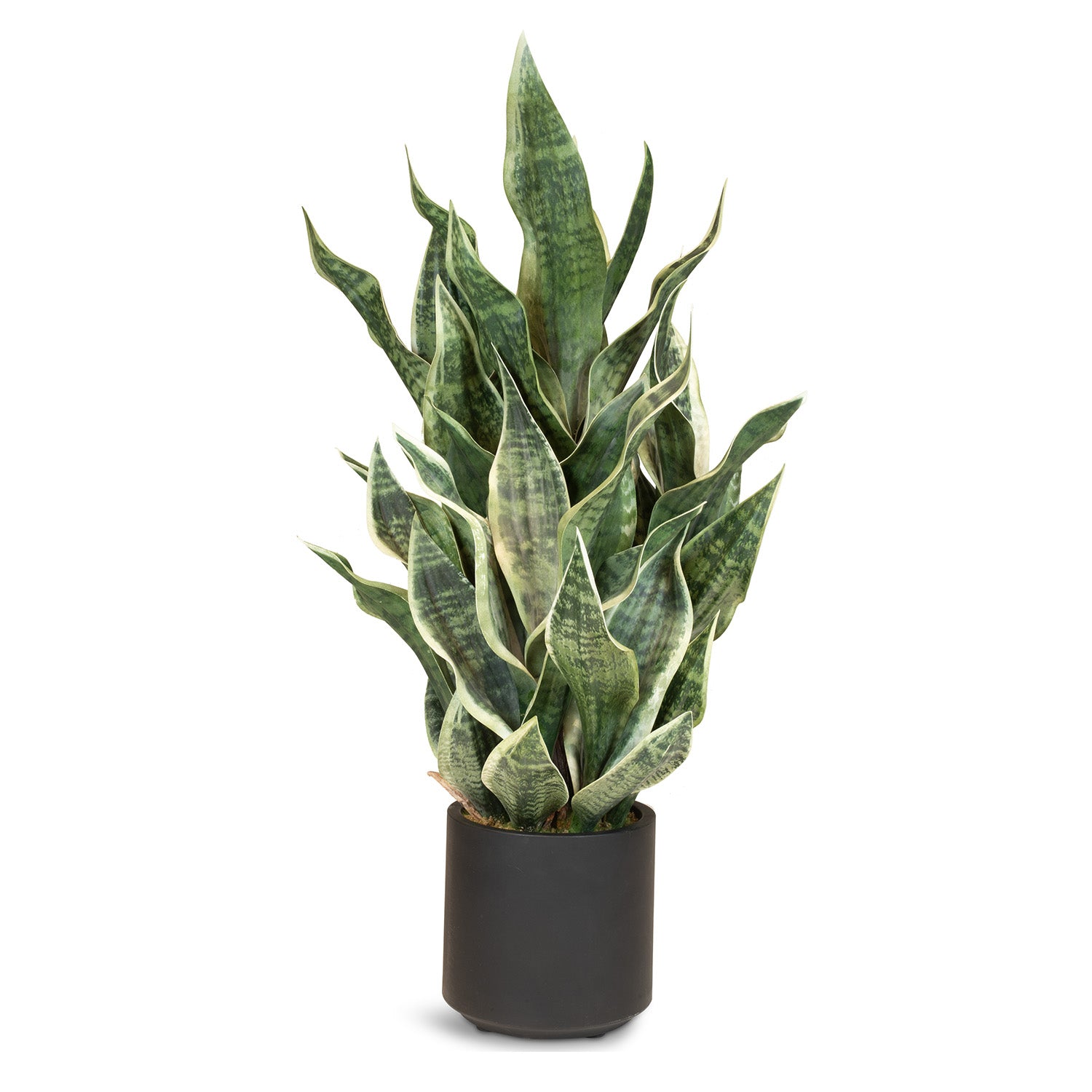 Sansevieria Bogenhanf Kunstpflanze