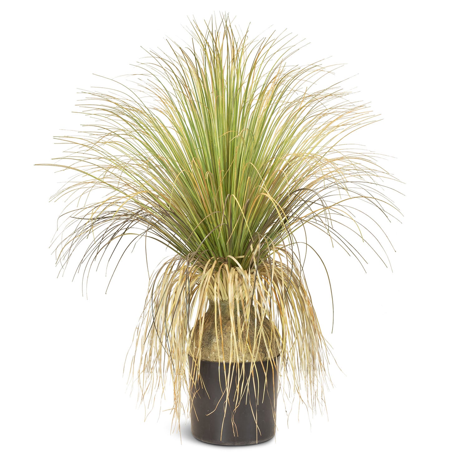Gras - Calibanus hooker Kunstpflanze