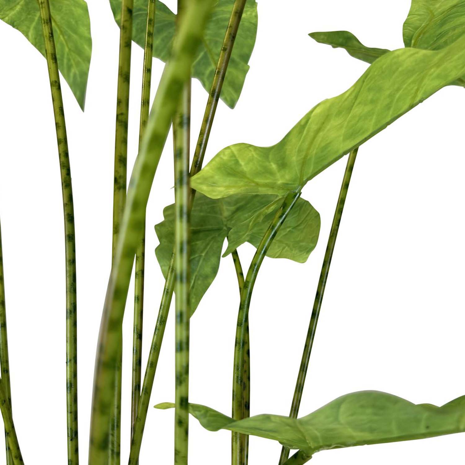 Zebra-Elefantenohr - Alocasia Zebrina Kunstpflanze