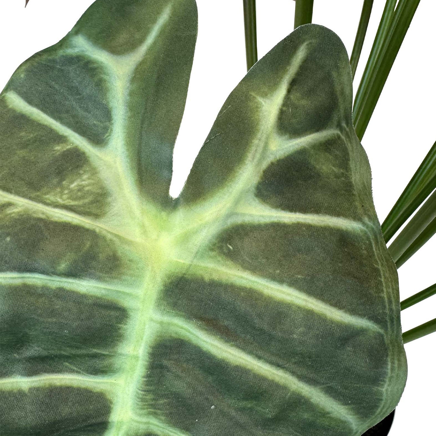 Alocasia - Elefantenohr Kunstpflanze