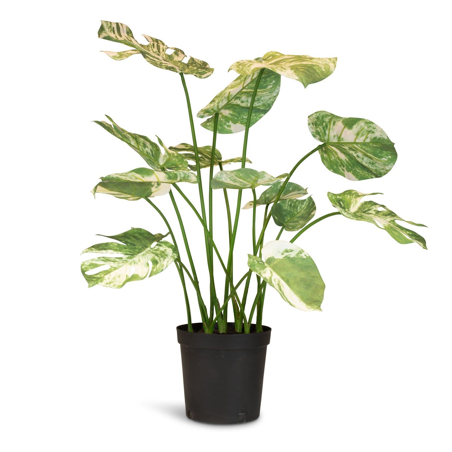 Fensterblatt Monstera Kunstpflanze
