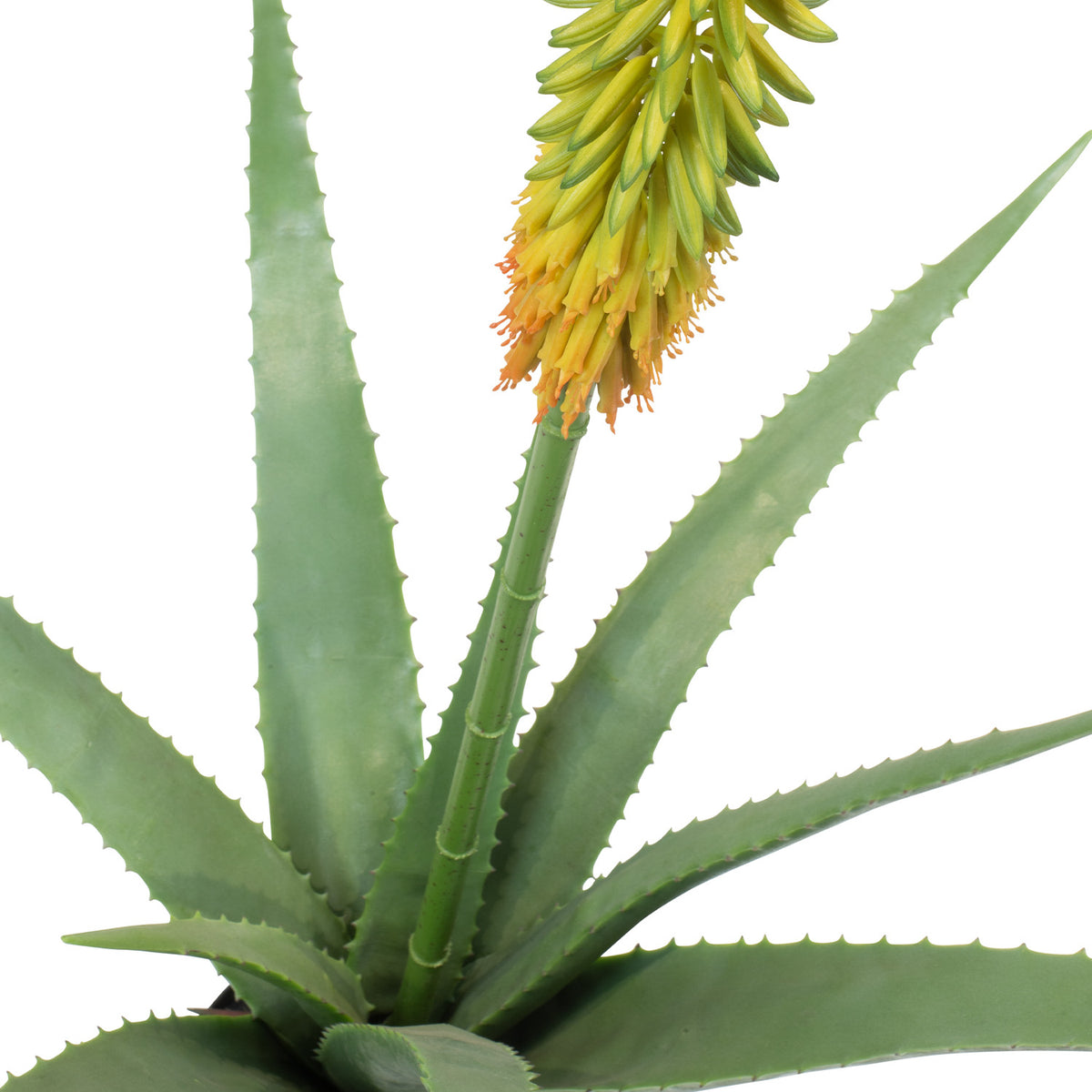 Aloe Vera Kunstpflanze
