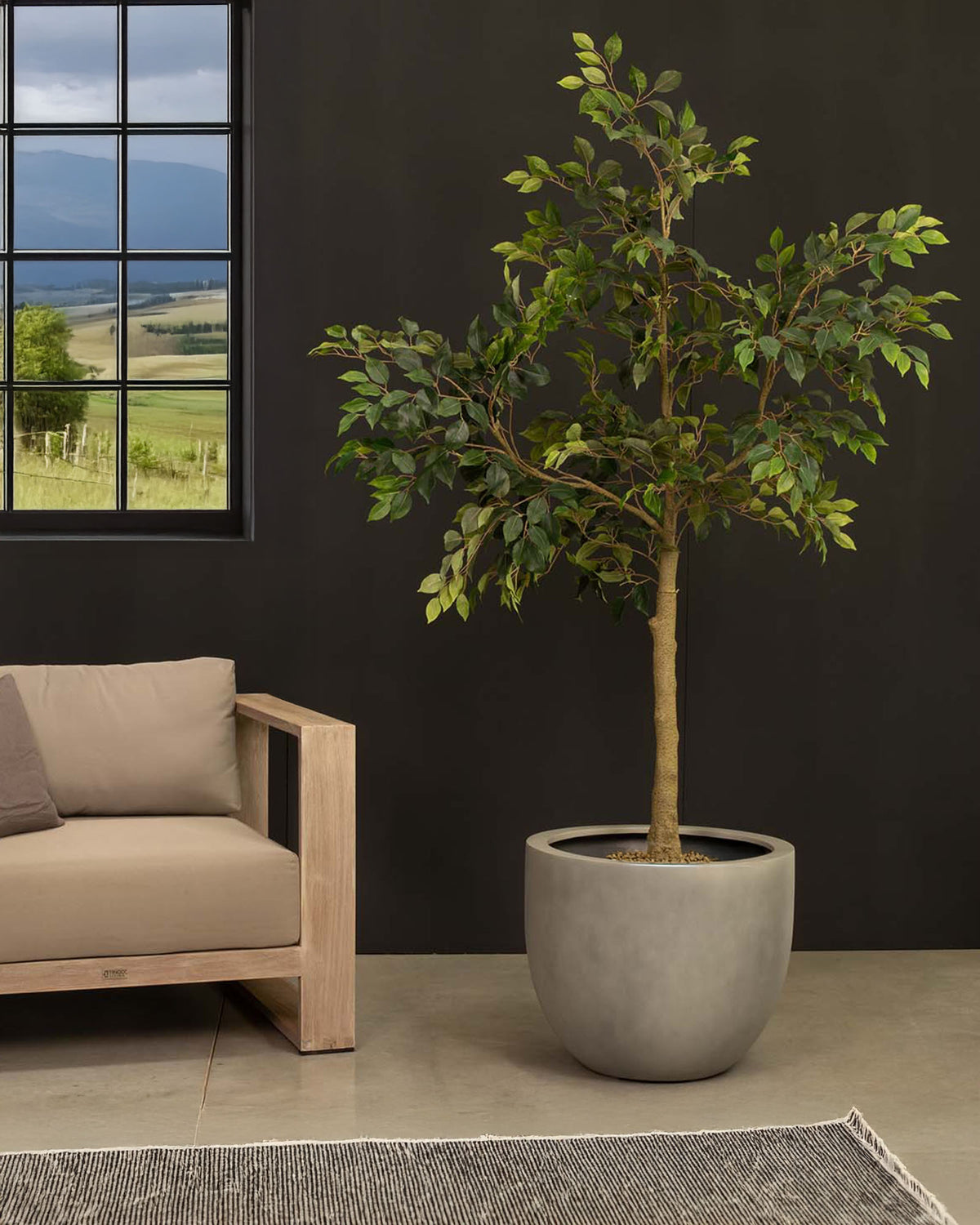 Ficus Tree - Birkenfeige Kunstpflanze