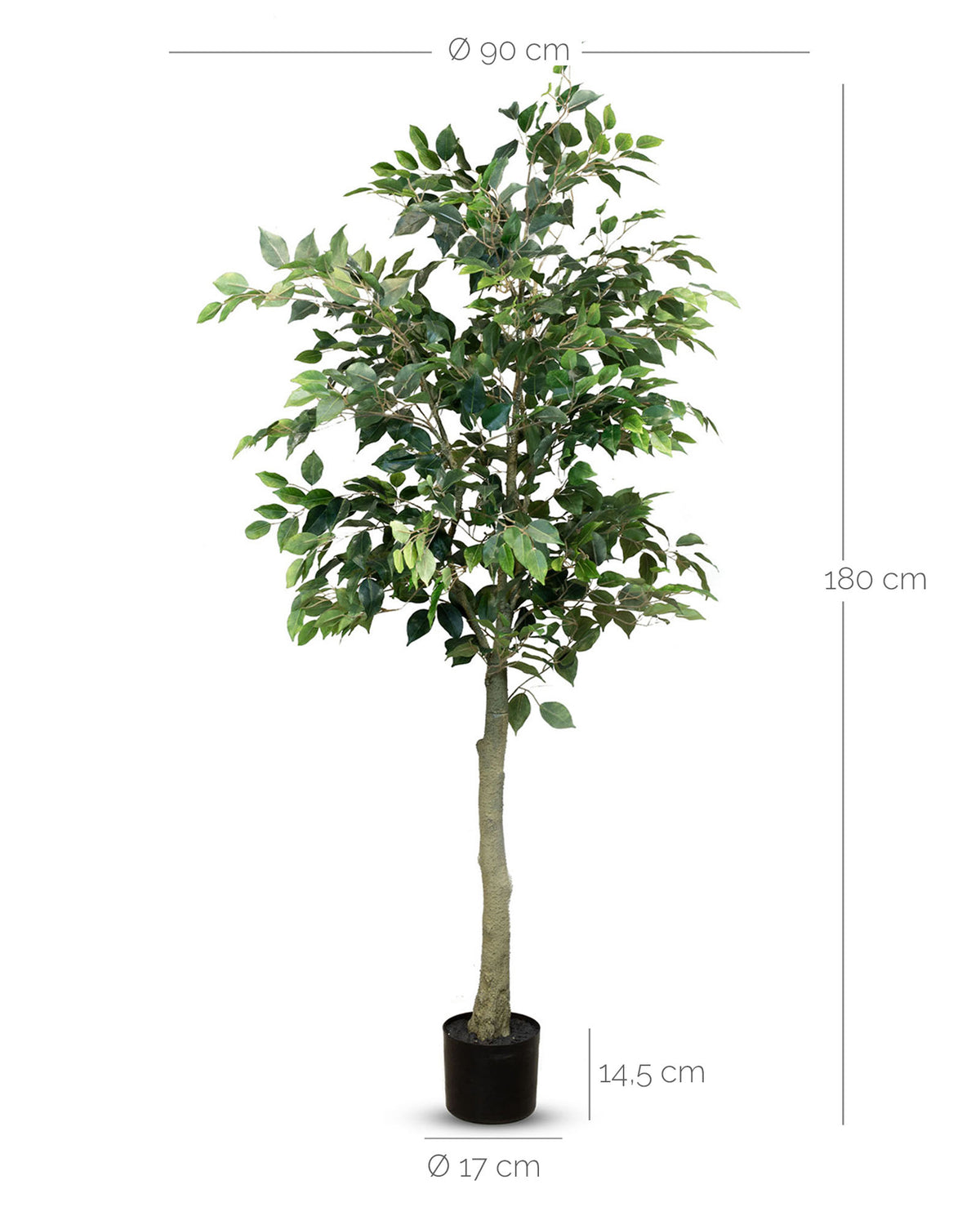 Ficus Tree - Birkenfeige Kunstpflanze