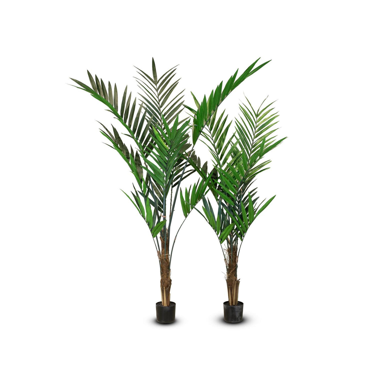 Forstersche Kentia Kunstpflanze