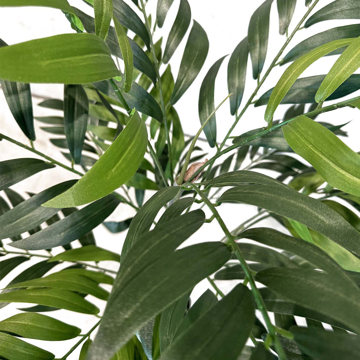 Bambuspalme - Chamaedorea Seifrizii Kunstpflanze