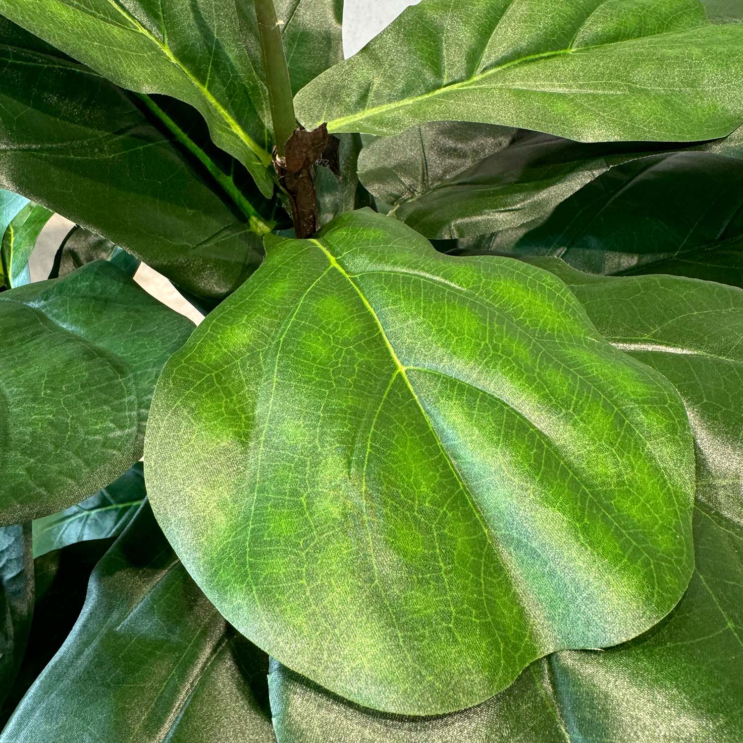 Geigenfeige - Ficus lyrata Kunstpflanze