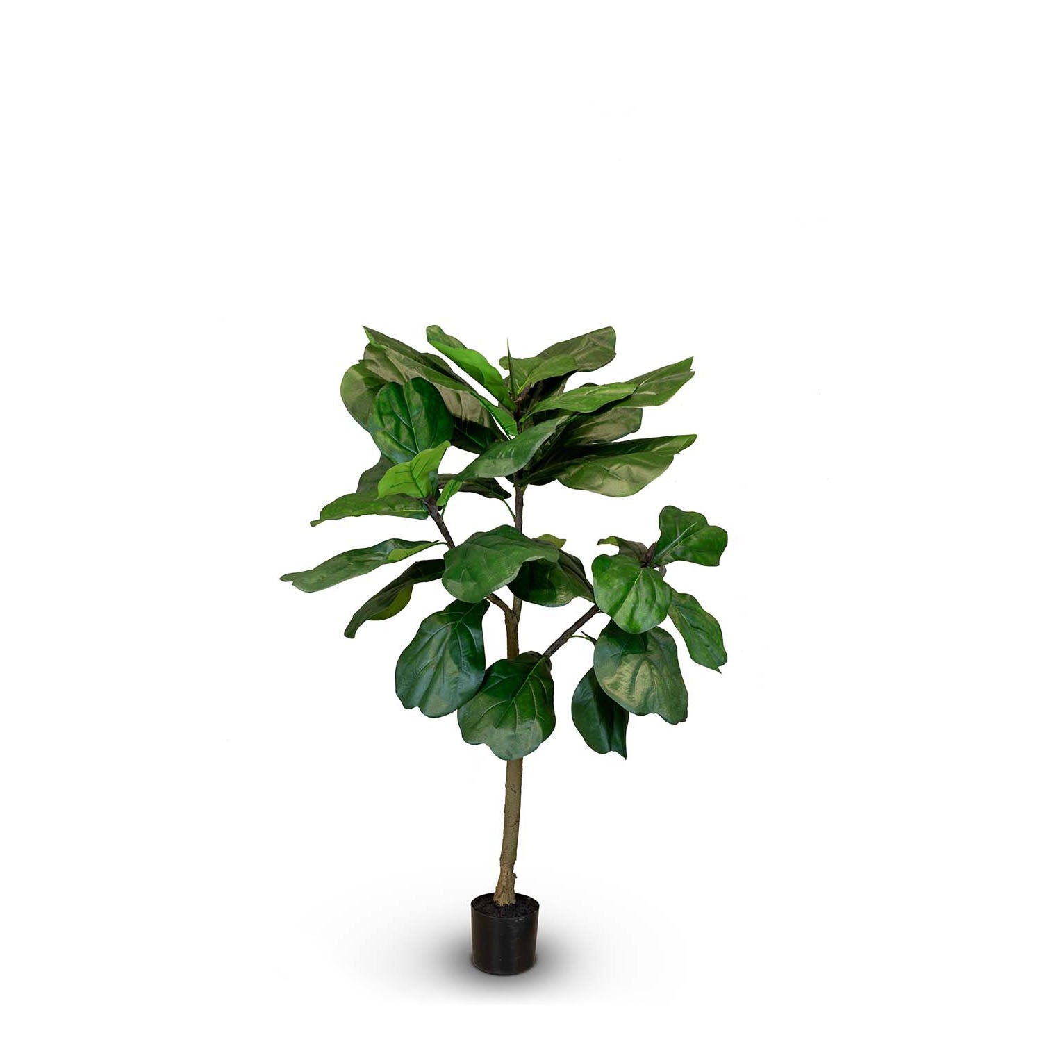 Geigenfeige - Ficus lyrata Kunstpflanze