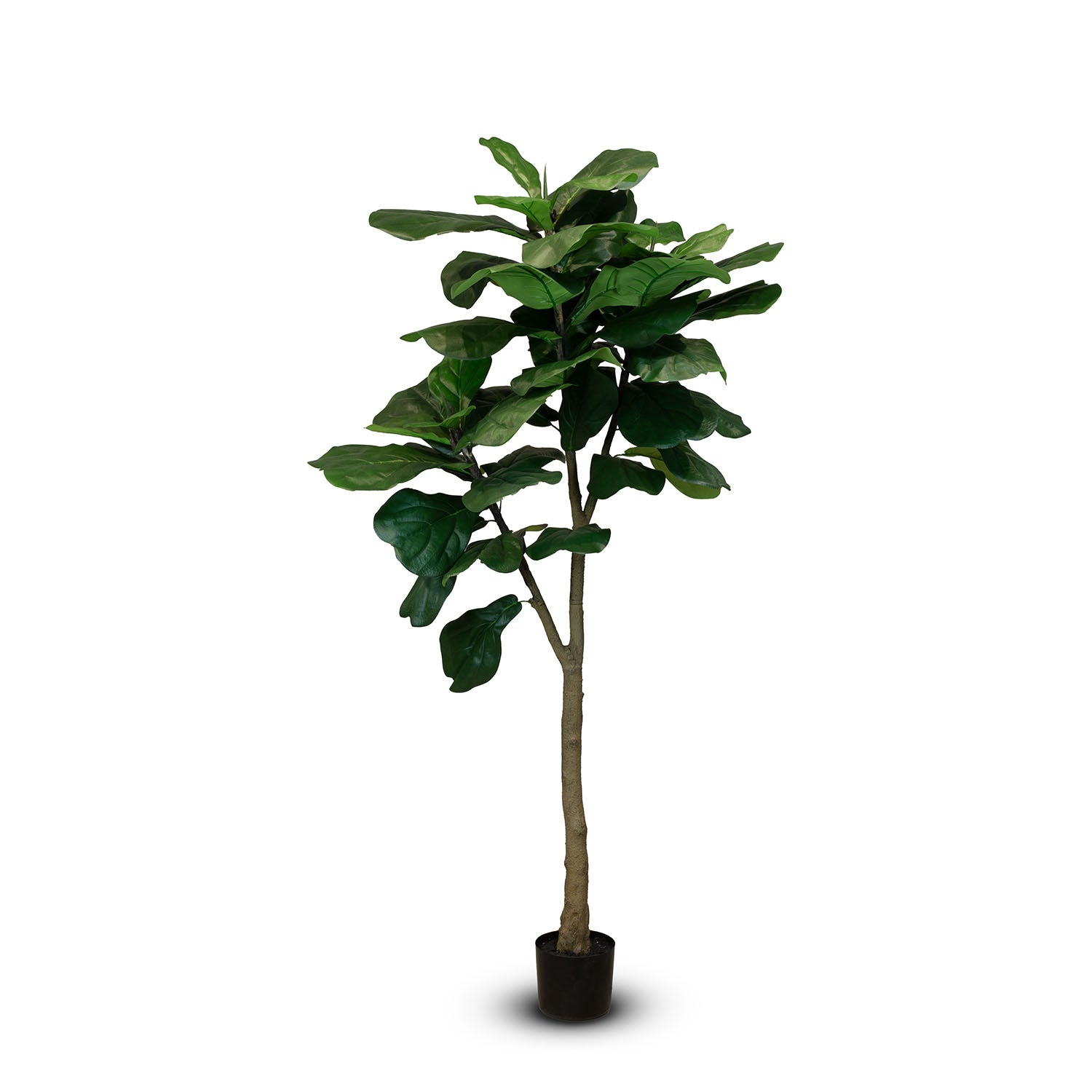 Geigenfeige - Ficus lyrata Kunstpflanze