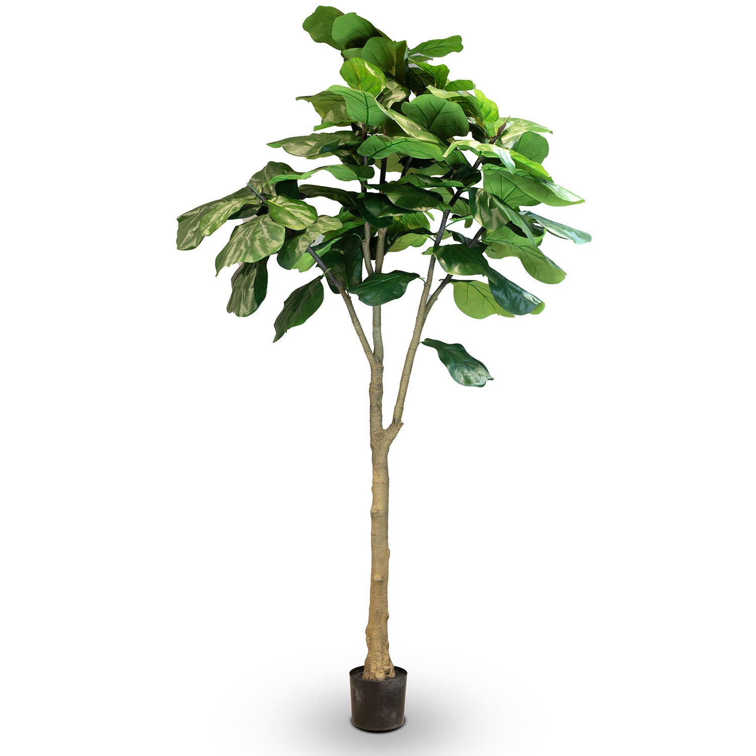 Geigenfeige - Ficus lyrata Kunstpflanze