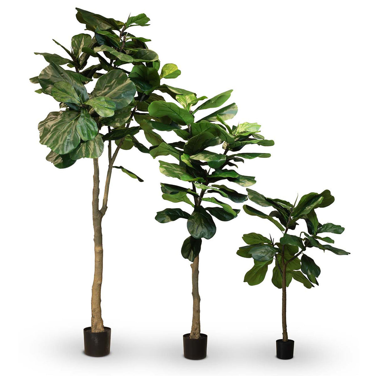 Geigenfeige - Ficus lyrata Kunstpflanze