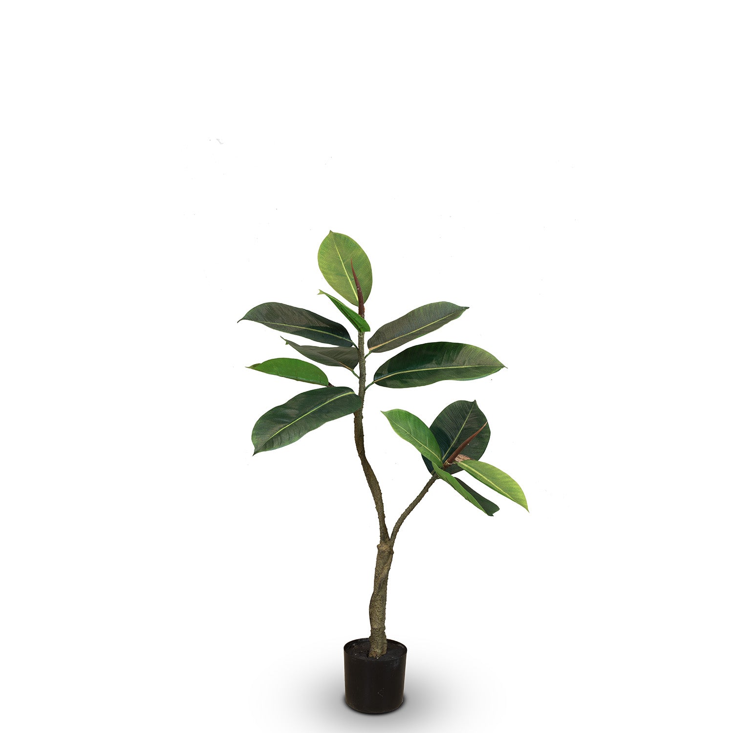 Ficus Elastica - Gummibaum Kunstpflanze