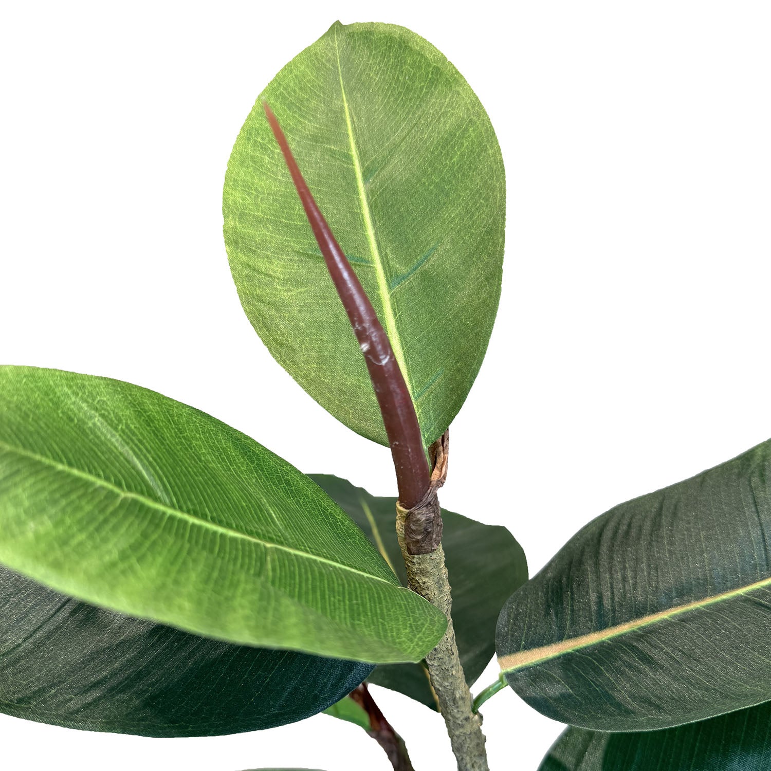 Ficus Elastica - Gummibaum Kunstpflanze
