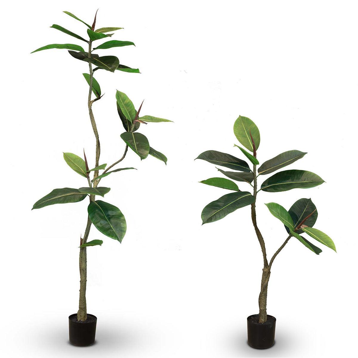 Ficus Elastica - Gummibaum Kunstpflanze