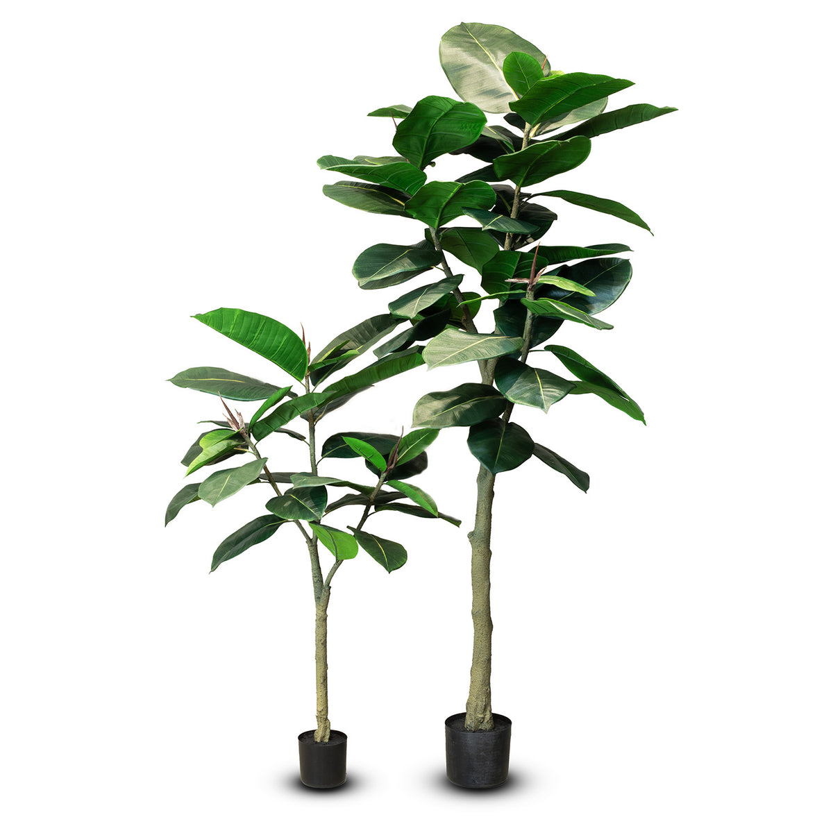 Ficus Elastica - Gummibaum Kunstpflanze
