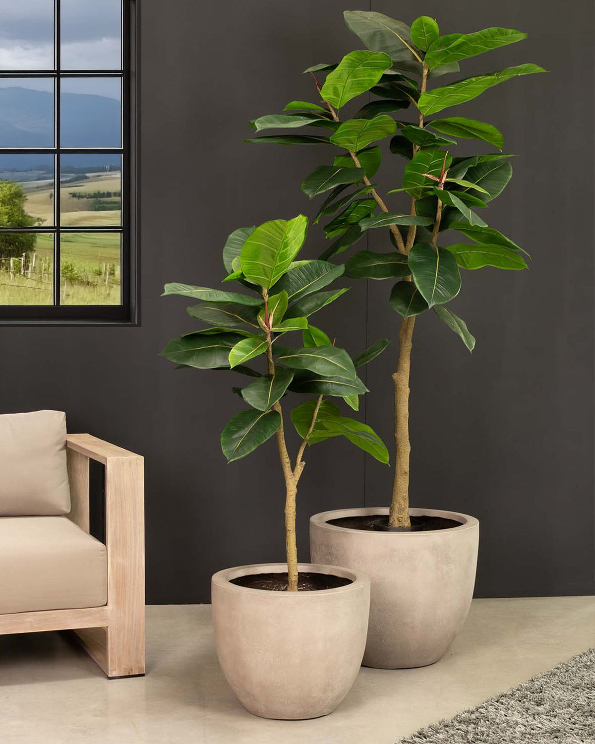 Ficus Elastica - Gummibaum Kunstpflanze