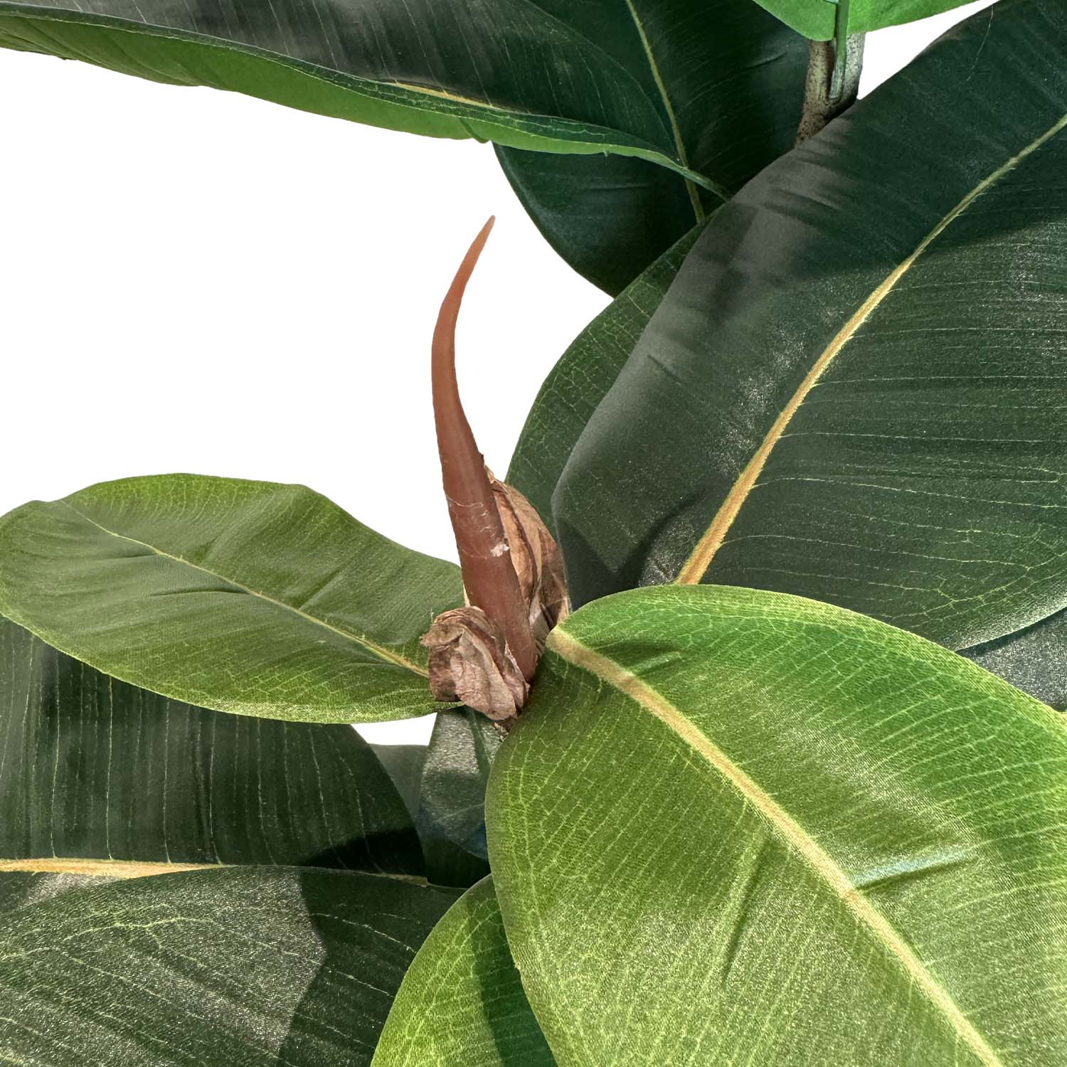 Ficus Elastica - Gummibaum Kunstpflanze