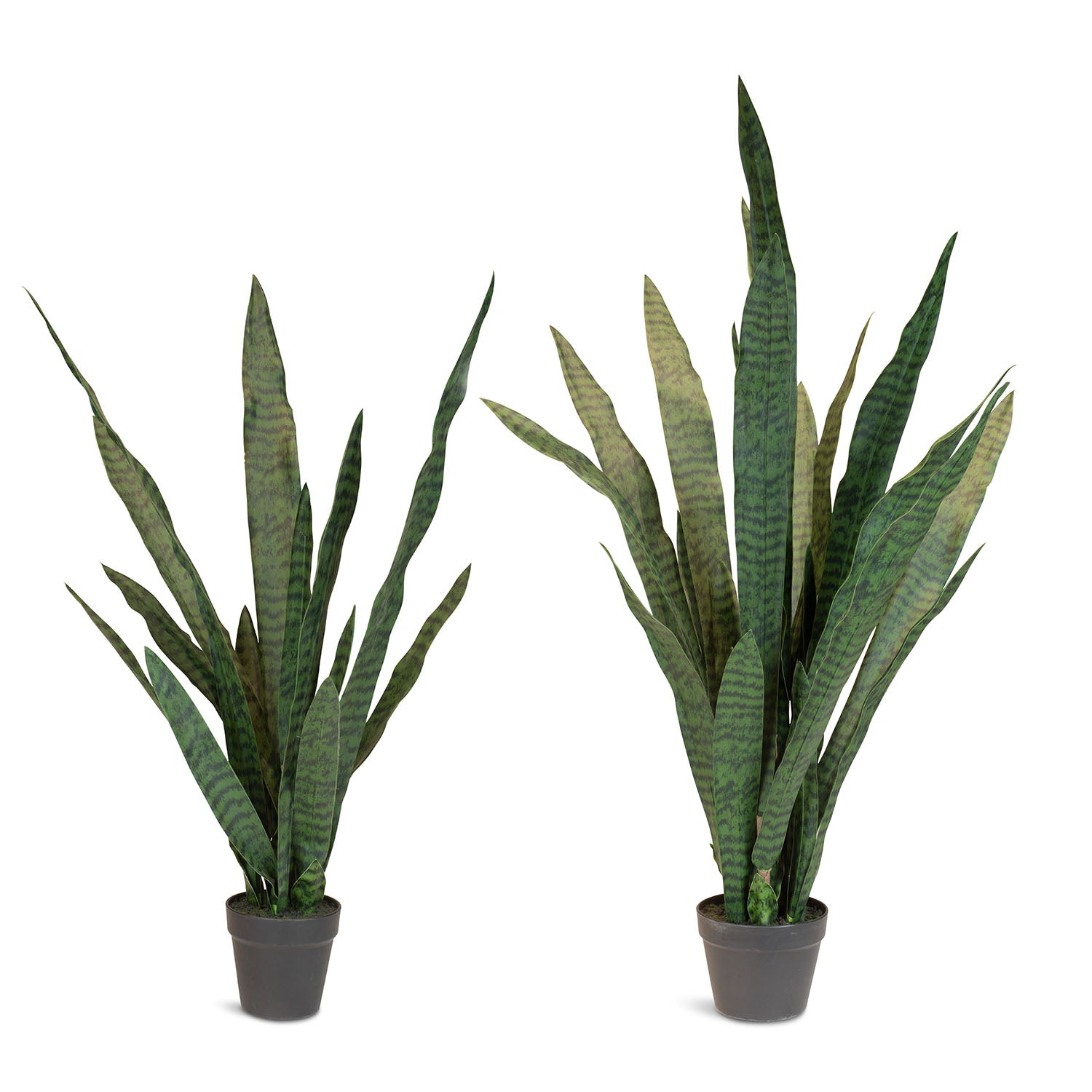 Ceylon-Bogenhanf - Sansevieria trifasciata Kunstpflanze