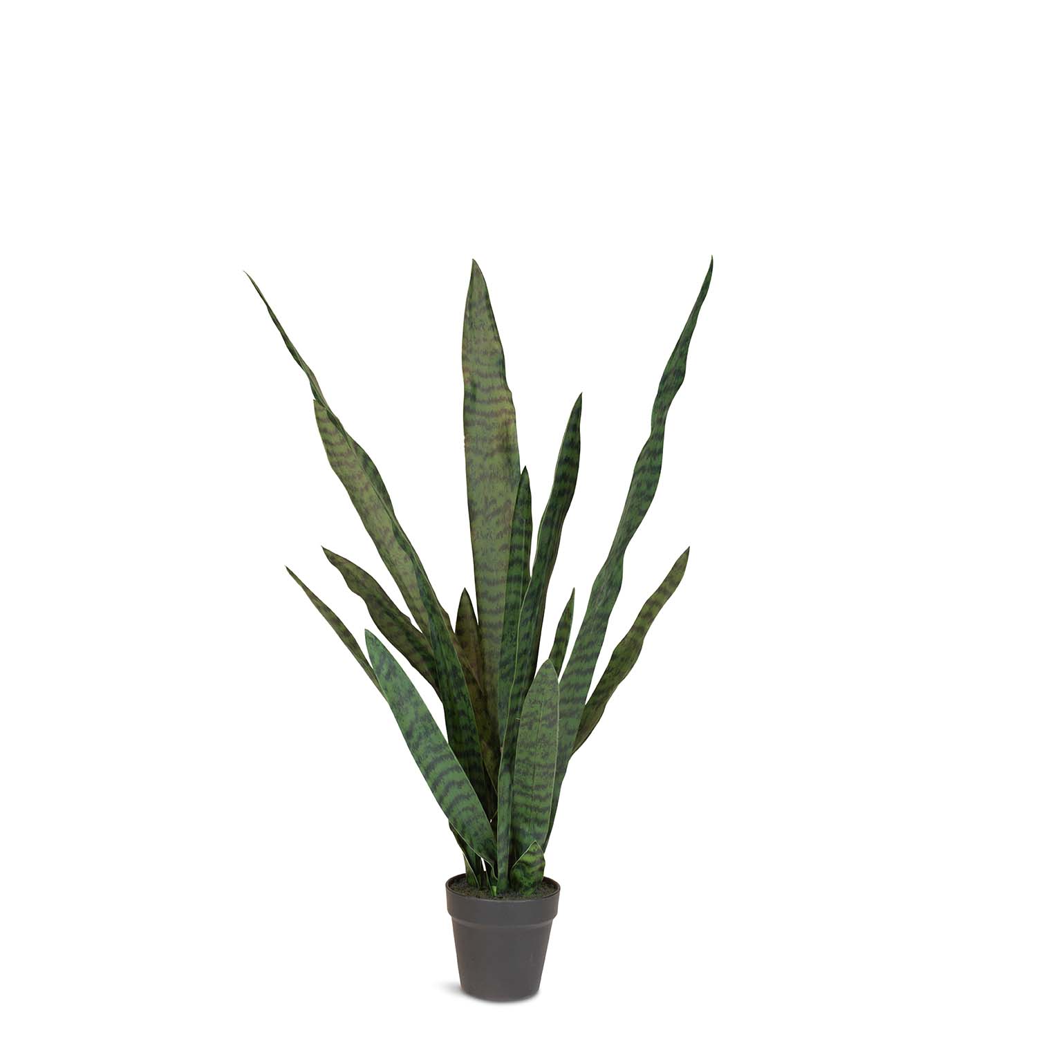 Ceylon-Bogenhanf - Sansevieria trifasciata Kunstpflanze