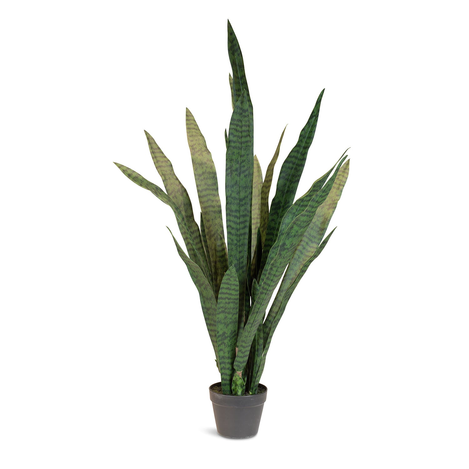 Ceylon-Bogenhanf - Sansevieria trifasciata Kunstpflanze