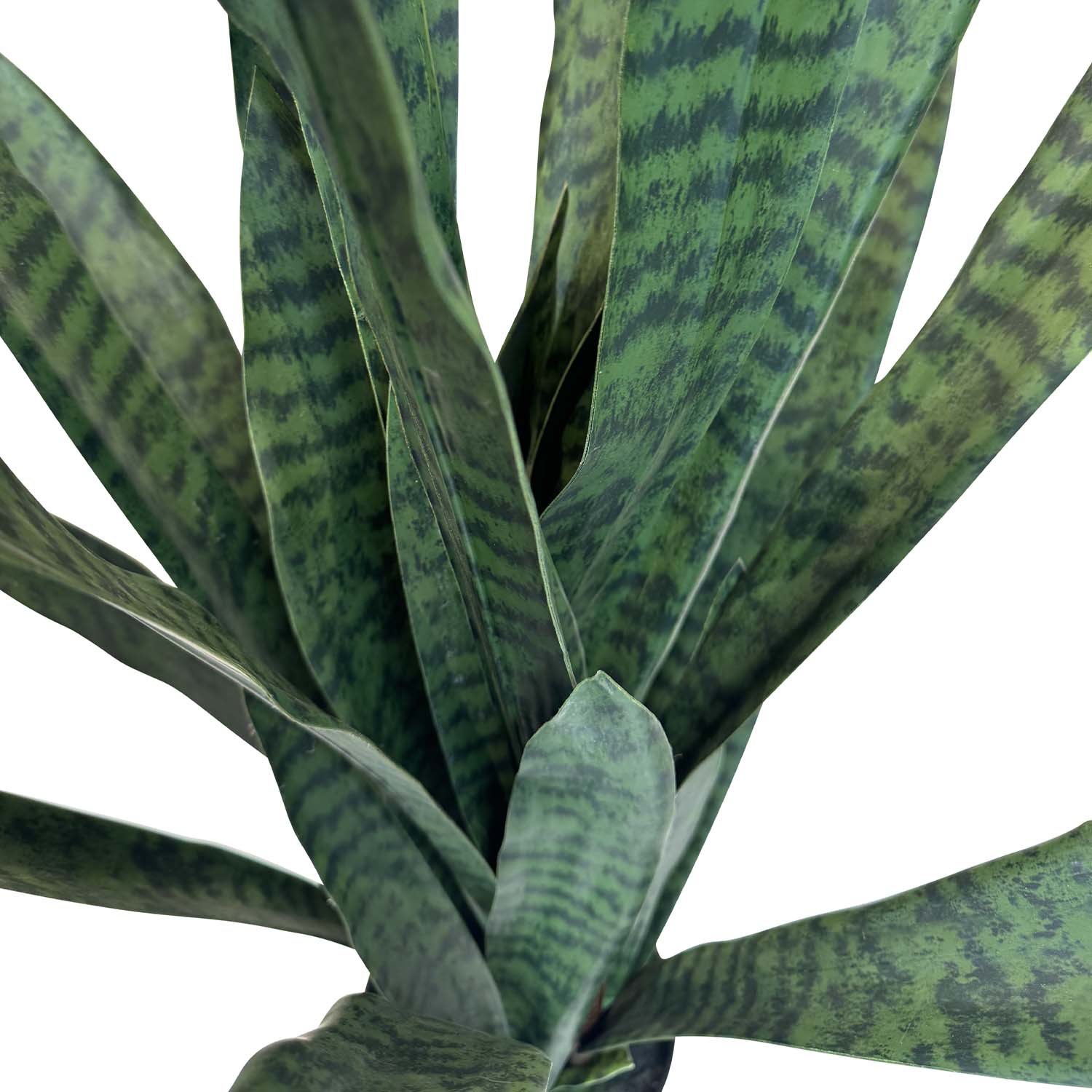Ceylon-Bogenhanf - Sansevieria trifasciata Kunstpflanze