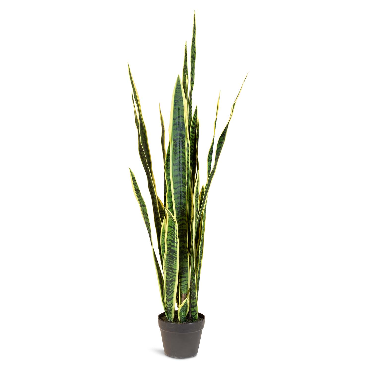 Bogenhanf - Sansevieria trifasciata Kunstpflanze