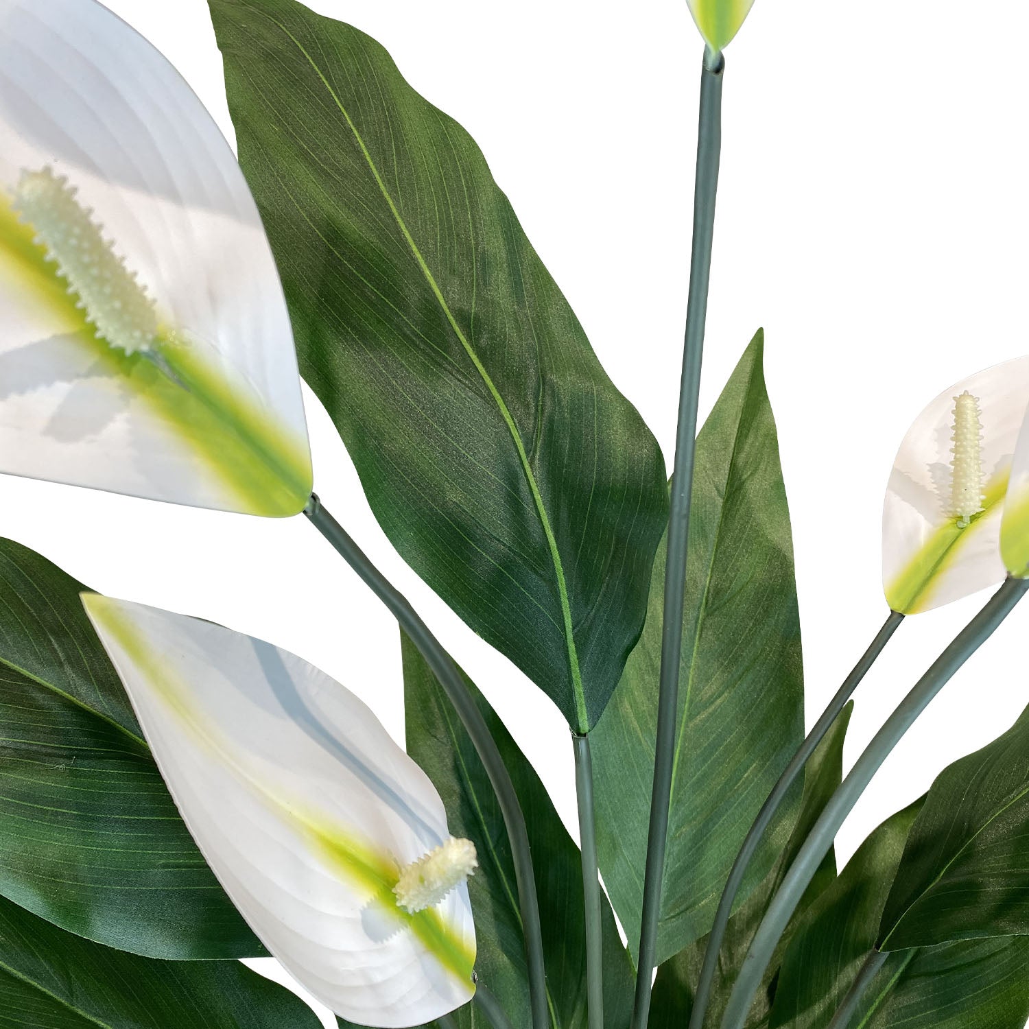 Einblatt - Spathiphyllum Kunstpflanze, blühend