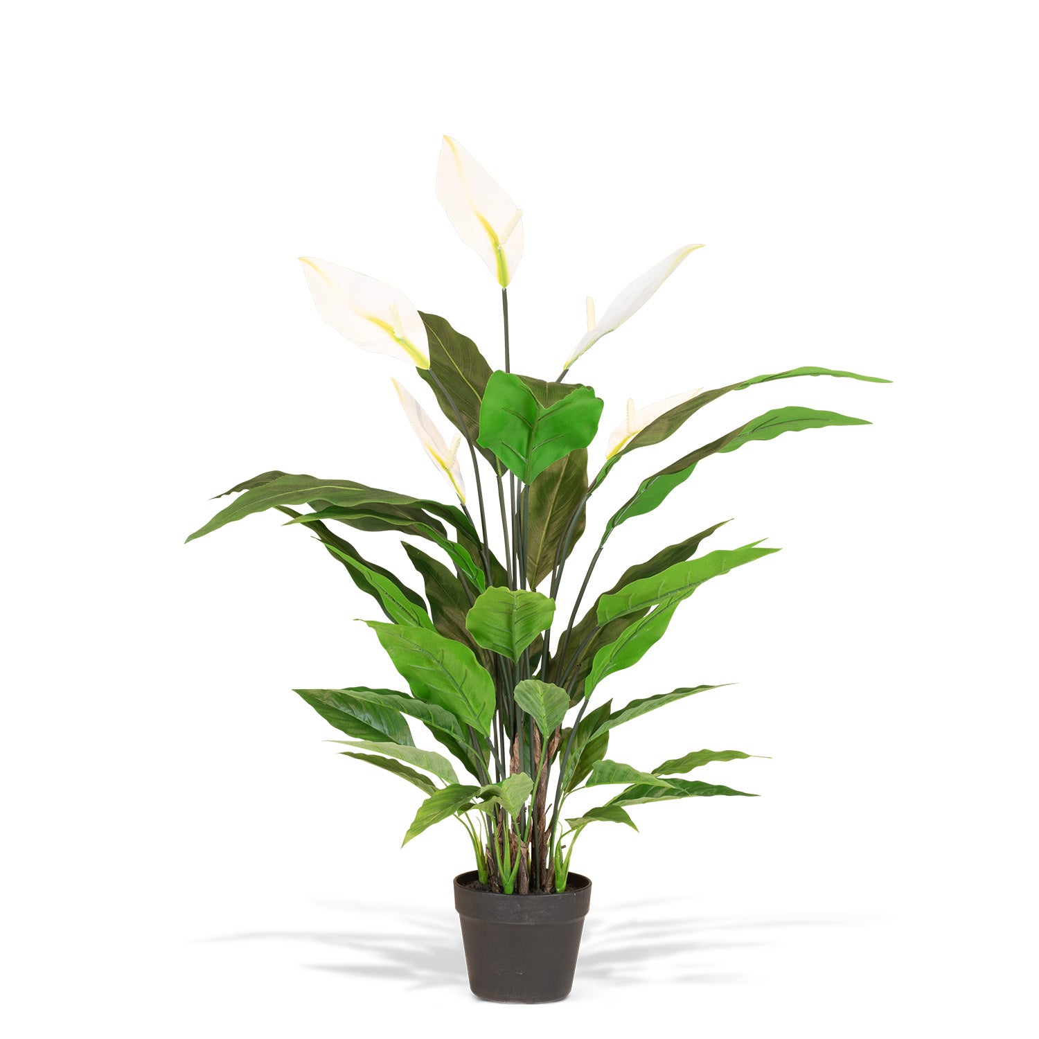 Einblatt - Spathiphyllum Kunstpflanze, blühend