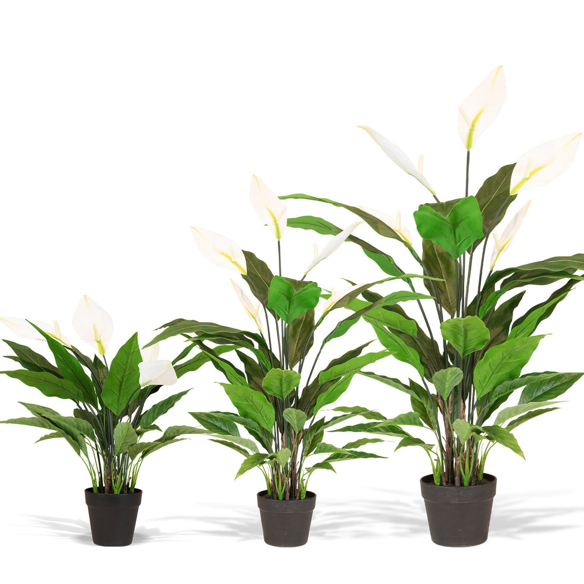 Einblatt - Spathiphyllum Kunstpflanze, blühend