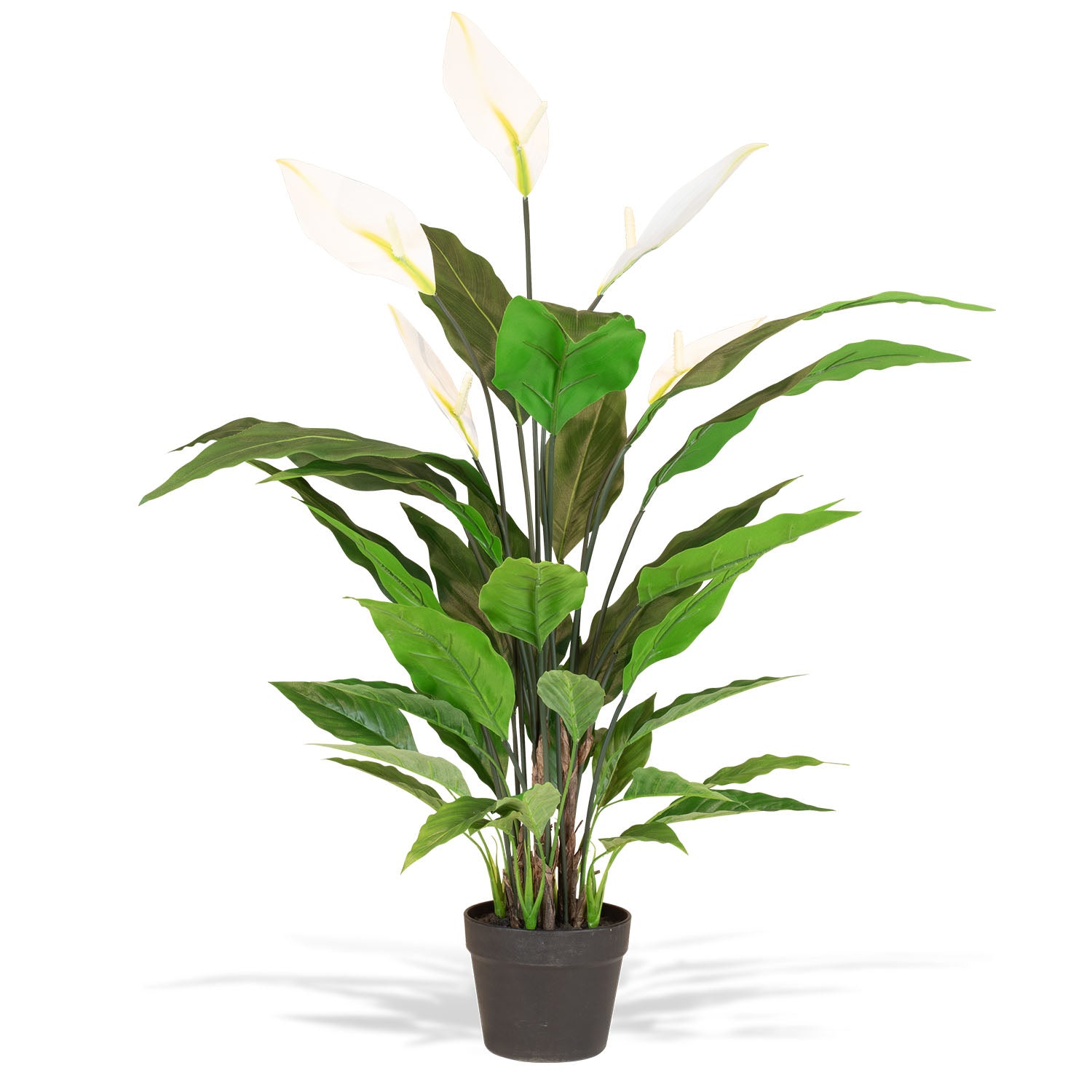 Einblatt - Spathiphyllum Kunstpflanze, blühend