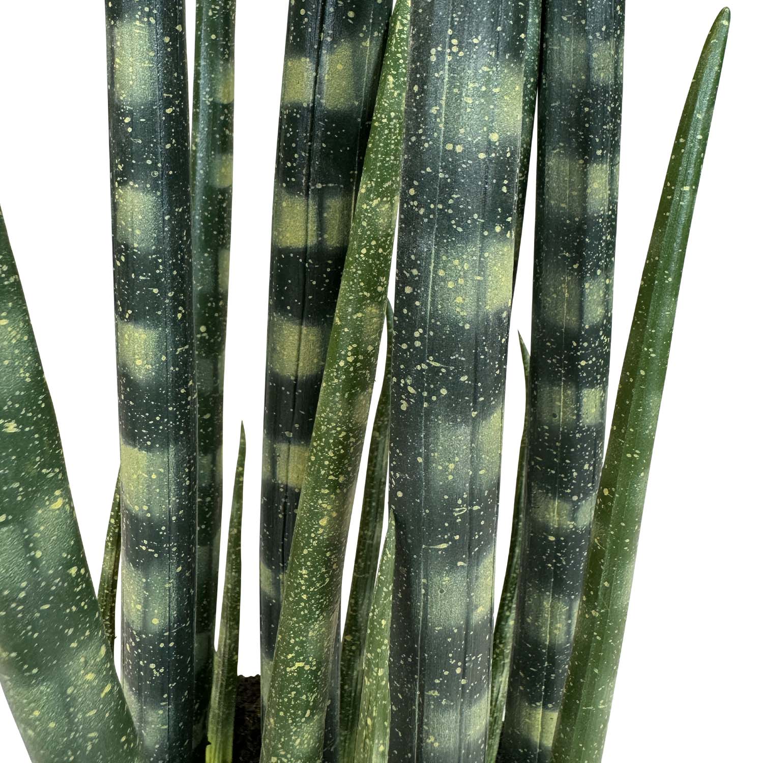 Sansevieria cylindrica - Zylindrischer Bogenhanf Kunstpflanze