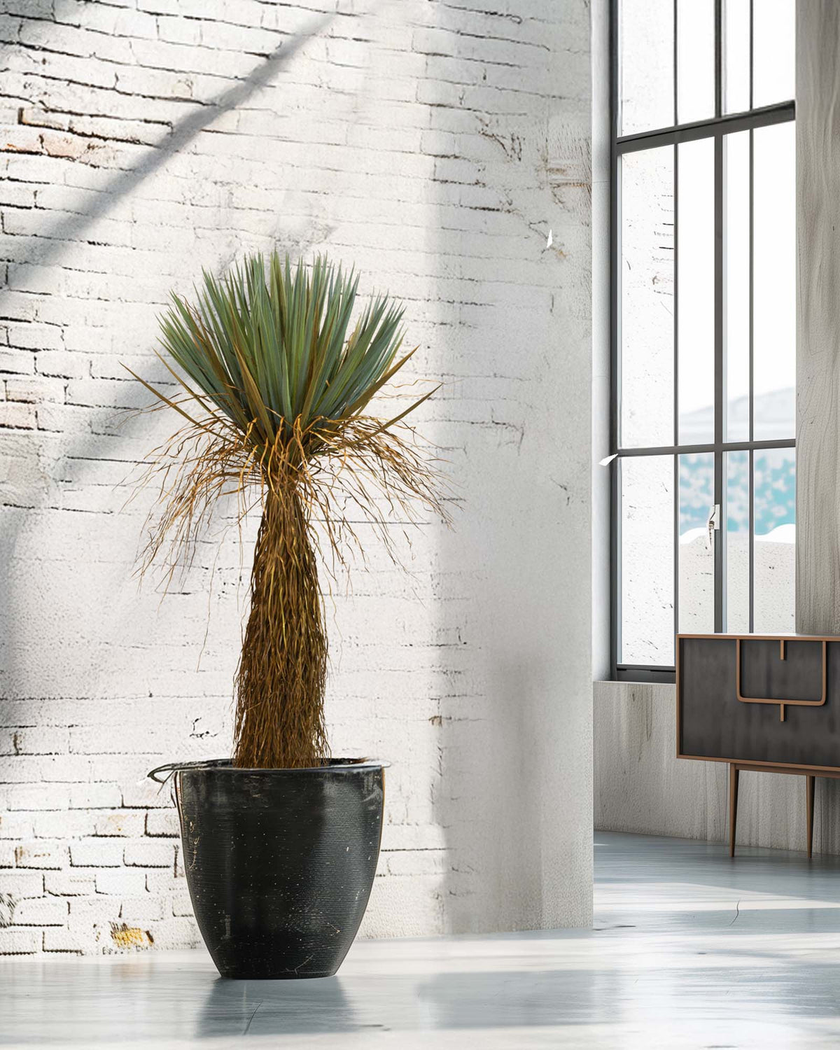 Yucca - Palmlilie Kunstpflanze