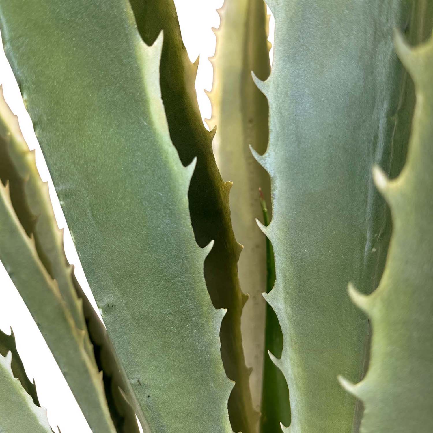 Agave Kunstpflanze